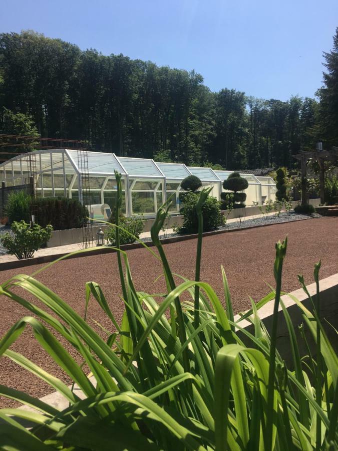 Logis Hotel Domaine Du Moulin ซองเตโวลด์ ภายนอก รูปภาพ